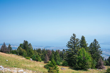 Vue estivale depuis la Barillette sur le bassin lémanique
