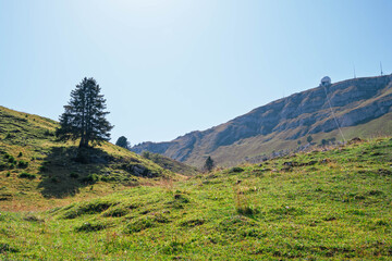 La Dôle vue depuis la Barillette, Jura vaudois