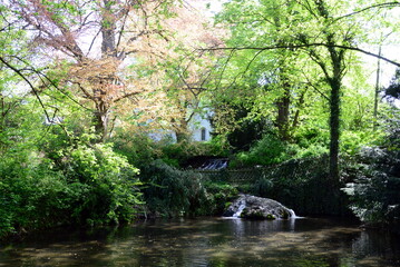 Garden at the Historical Cathedral Kaiserdom in the Town Königslutter, Lower Saxony