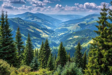 Mountain valley vista, lush forests