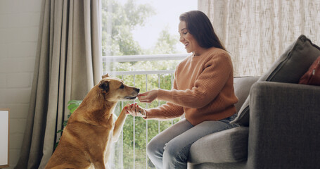 Feeding, reward or training with dog and woman on sofa in living room of home for discipline....