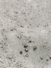 Closeup photography of a stone