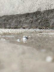 water drops on the wall
