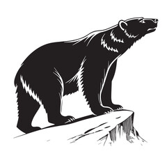 black polarbear Silhouette Vector, High Quality Illustration on White Background