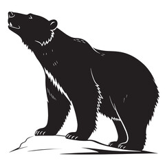black polarbear Silhouette Vector, High Quality Illustration on White Background