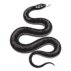 black python Silhouette Vector, High Quality Illustration on White Background
