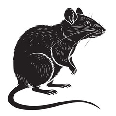 Fototapeta premium black rat Silhouette Vector, High Quality Illustration on White Background
