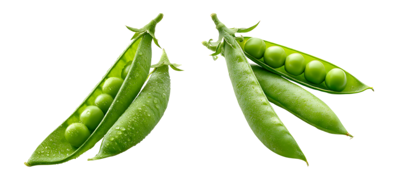 Green peas in pod isolated on transparent background.