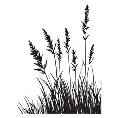 silhouette cattails reeds wild grass river bank swamp coastal plants 
