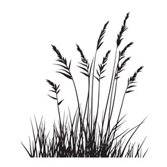 silhouette cattails reeds wild grass river bank swamp coastal plants 
