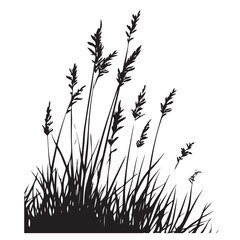 silhouette cattails reeds wild grass river bank swamp coastal plants 
