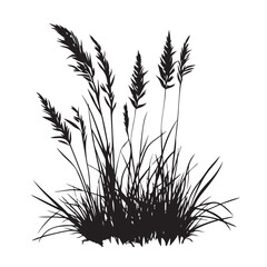 silhouette cattails reeds wild grass river bank swamp coastal plants 
