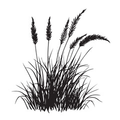 silhouette cattails reeds wild grass river bank swamp coastal plants 
