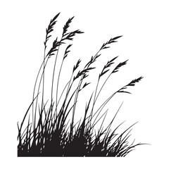 silhouette cattails reeds wild grass river bank swamp coastal plants 
