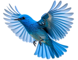 Playful Blue Bird Flying with Spread Wings and Sparkling Eyes, Side View, Isolated