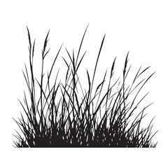 silhouette cattails reeds wild grass river bank swamp coastal plants 
