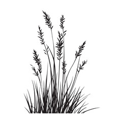 silhouette cattails reeds wild grass river bank swamp coastal plants 
