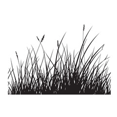 silhouette cattails reeds wild grass river bank swamp coastal plants 
