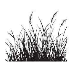 silhouette cattails reeds wild grass river bank swamp coastal plants 
