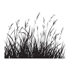 silhouette cattails reeds wild grass river bank swamp coastal plants 
