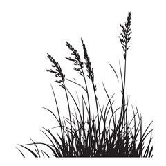 silhouette cattails reeds wild grass river bank swamp coastal plants 
