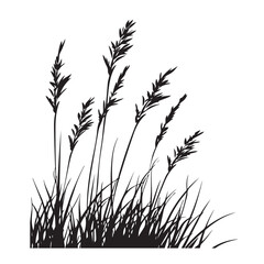 silhouette cattails reeds wild grass river bank swamp coastal plants 
