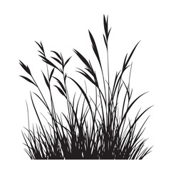 silhouette cattails reeds wild grass river bank swamp coastal plants 
