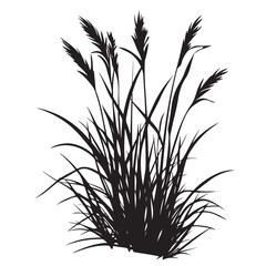 silhouette cattails reeds wild grass river bank swamp coastal plants 
