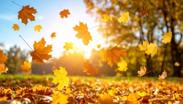 "Golden autumn leaves drifting through sunlit trees, blanketing the ground in warm hues—evoking seasonal change, nostalgia, and nature’s quiet poetry."