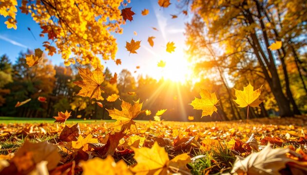"Golden autumn leaves drifting through sunlit trees, blanketing the ground in warm hues—evoking seasonal change, nostalgia, and nature’s quiet poetry."
