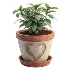 Lush green plant thrives in a charming pot adorned with a heart, perfect for home decor