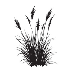 silhouette cattails reeds wild grass river bank swamp coastal plants 
