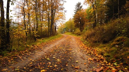 Fototapeta premium Enchanting Beginning of Autumn: Crisp Air, Golden Leaves, and Harvest Vibes Marking the Onset of Fall, Featuring Cozy Sweaters, Pumpkin Patches, and Sunset Hues, Perfect for Seasonal Art, Lifestyle Ph