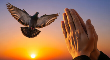 Fototapeta premium Two hands together in prayer with a pigeon flying in the sky, hands praying in faith and freedom, bird flying over orange and purple sunset, symbol of peace, spirituality, religion, and hope.