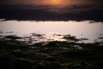 Sunset on the coast of Normandy above Oyster Farm at low tide