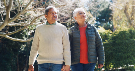 Forest, holding hands and senior couple with love, sightseeing and bonding together with romance....