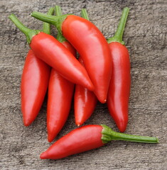 Birdseye Chillies on weathered timber background.