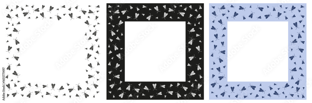 Poster moth frames set. black, white and colorful square border made of moth insect.
