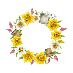 A bright round color frame of white and yellow daffodils, garden watering cans, pink muscari in garden pots, green leaves, butterflies and bumblebees. Watercolor illustration for postcards, posters.