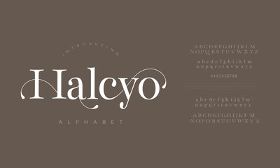 Halcyo Elegant Serif Alphabet Typeface