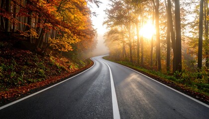 Obraz premium Winding road through autumnal forest at sunrise, mist clinging to trees