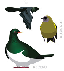 Obraz premium New Zealand Endemic Birds Kereru Korimako Tui Set Cartoon Vector