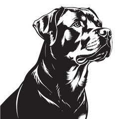 black rottweiler Silhouette Vector, High Quality Illustration on White Background
