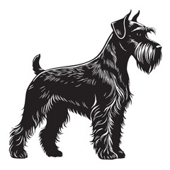 black schnauzer Silhouette Vector, High Quality Illustration on White Background