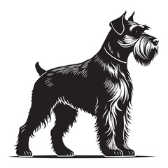 black schnauzer Silhouette Vector, High Quality Illustration on White Background