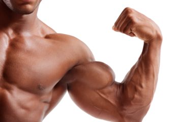 Muscular man flexing his arm and showing bicep on transparent background