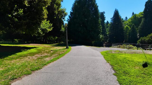 Peaceful nature scenes of Laurelhurst Park in Portland Oregon, USA, with trees, paths, and summer greenery, captured on a pocket camera with gimbal stabilizer for 4K smooth motion footage.