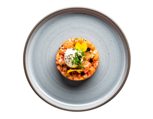 Salmon Tartare in Minimalist on Grey Plate Isolated on Transparent Background Top View