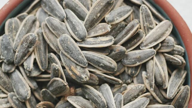 sunflower seeds in a bowl close up	