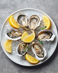 plate of oysters on crushed ice with lemon wedges, seafood delicacy on white